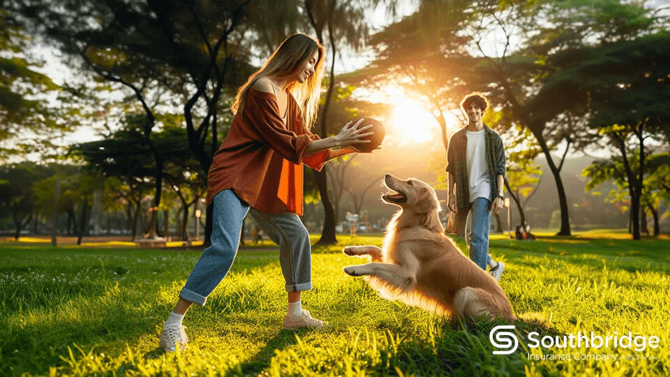 Familia jugando con su perro en el parque