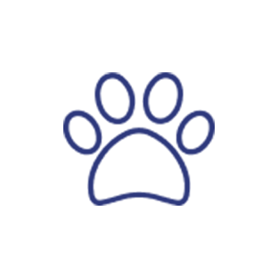 icono6